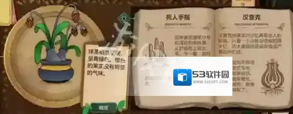 游侠网13