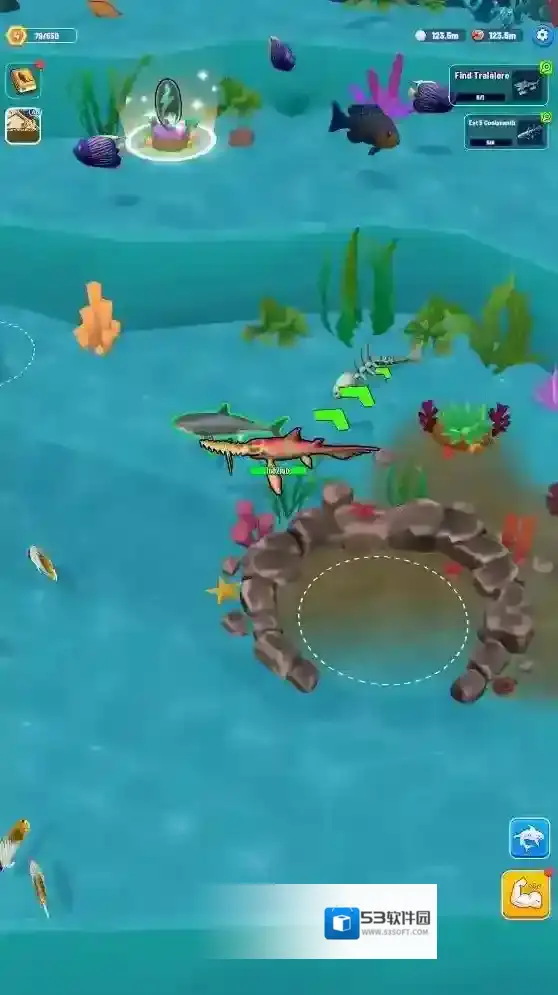 鲨鱼进化海洋之战海洋生物