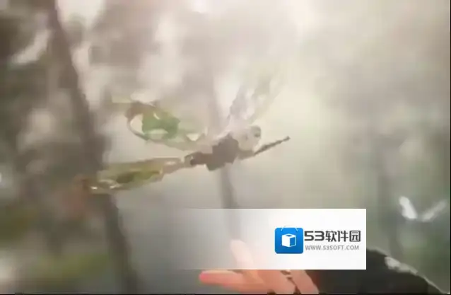 三角洲行动支援