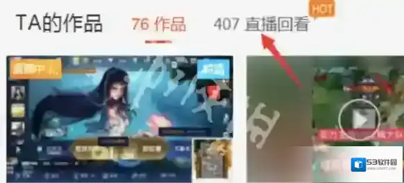快手回放