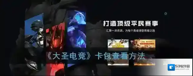 大圣电竞卡包