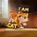 我是猫我是猫