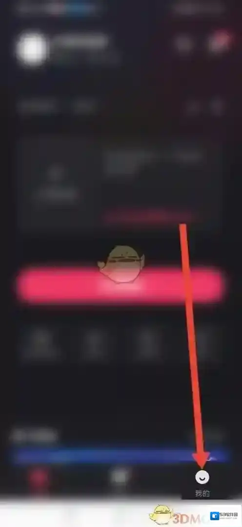 快手直播伴侣自定义