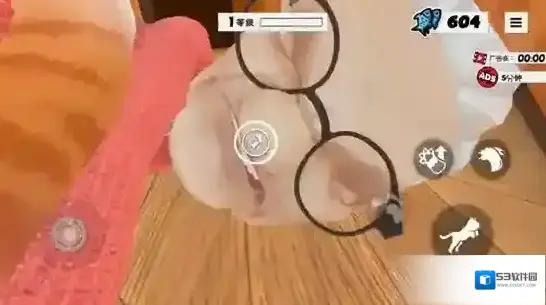 我是猫探索