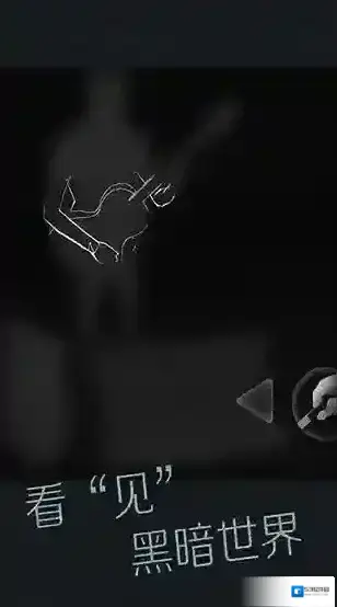 见视障