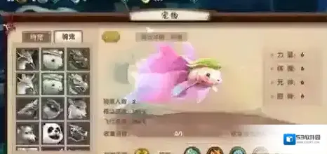 寻仙龙睛