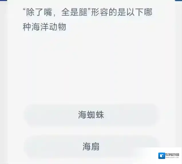 支付宝的是